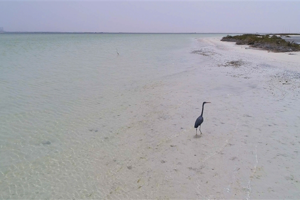 BUL SUAYEEF MARINE RESERVE