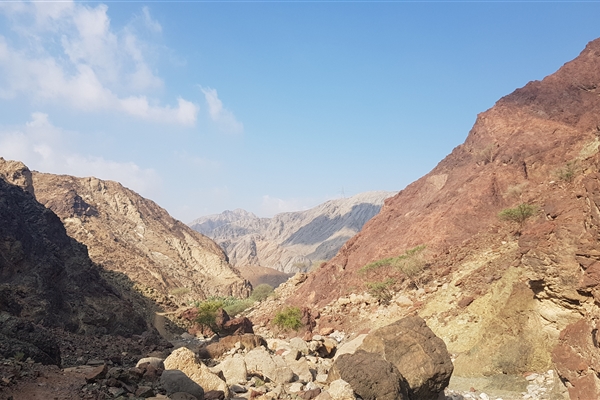 Taween and the Wadi Ghub Petroglyphs 