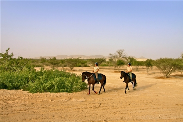 Arabian Wildlife Park