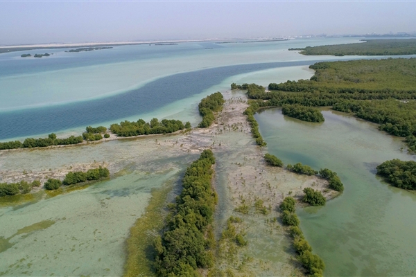 EASTERN MANGROVES/ MANGROVE NATIONAL PARK 