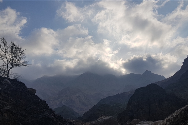 Taween and the Wadi Ghub Petroglyphs 