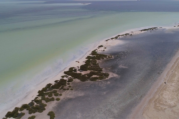 BUL SUAYEEF MARINE RESERVE