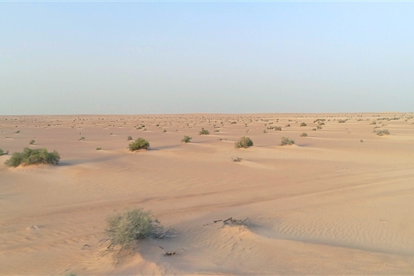 Ecotourism | Knowledge | UAE Ministry of Climate Change and Environment