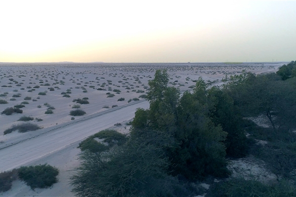 HOUBARA PROTECTED AREA  