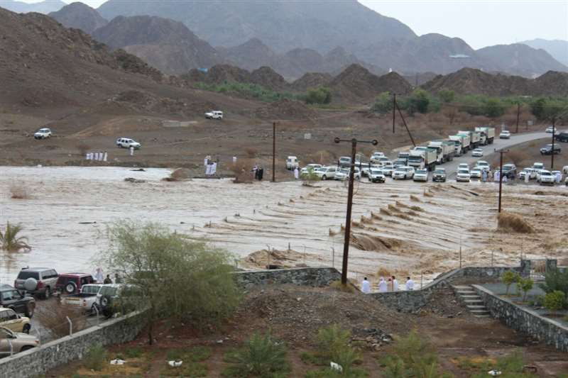 MOCCAE News | Media Center | UAE Ministry of Climate Change and Environment