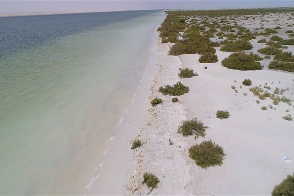 BUL SUAYEEF MARINE RESERVE