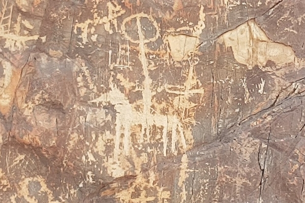 Taween and the Wadi Ghub Petroglyphs 