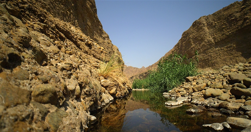 Ecotourism | Knowledge | UAE Ministry of Climate Change and Environment
