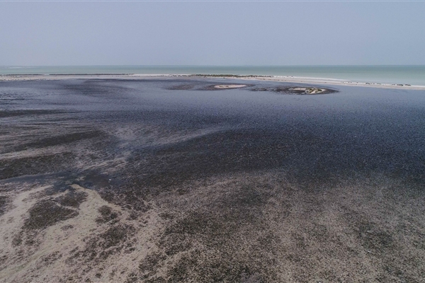 BUL SUAYEEF MARINE RESERVE