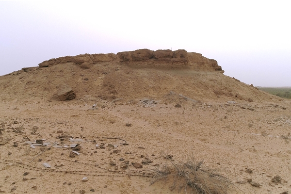 HOUBARA PROTECTED AREA  