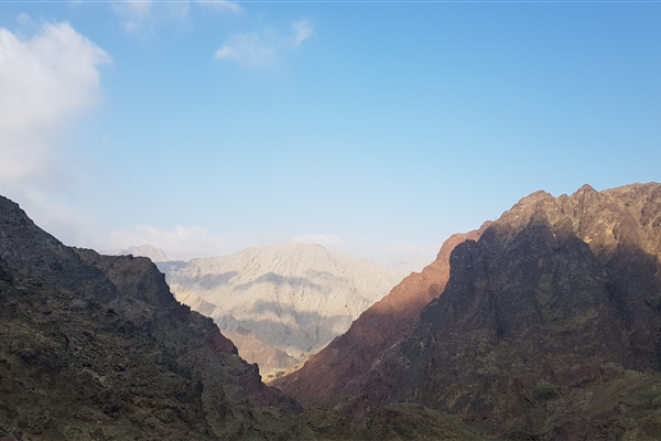 Taween and the Wadi Ghub Petroglyphs 