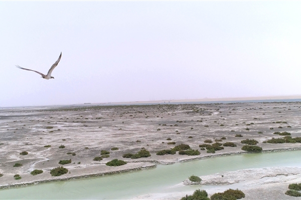 BUL SUAYEEF MARINE RESERVE