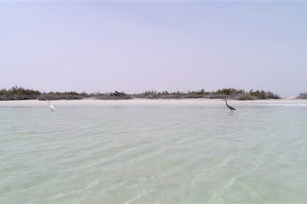 BUL SUAYEEF MARINE RESERVE