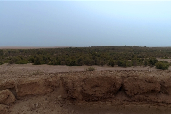 HOUBARA PROTECTED AREA  