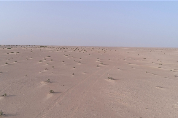 HOUBARA PROTECTED AREA  