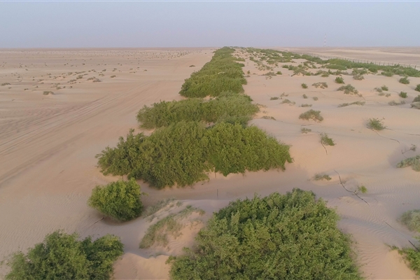 HOUBARA PROTECTED AREA  