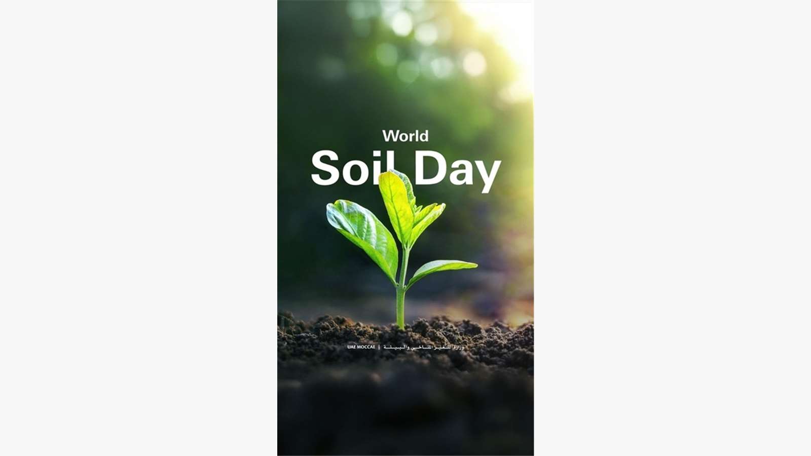 World Soil Day